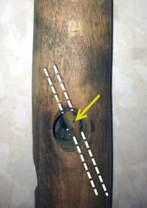 repaired leg showing inserted dowel