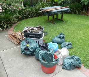 extra-rubbish-we-cleaned-out